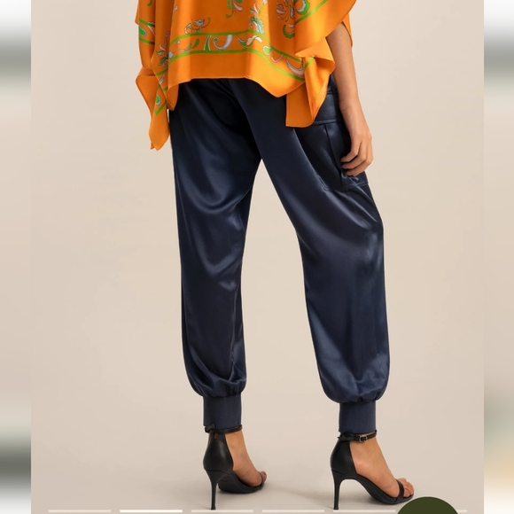 Nwt Joie silk navy blue pants - Picture 9 of 12